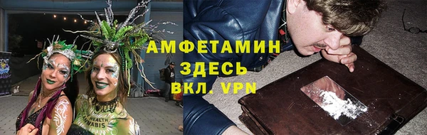 кокс Арсеньев